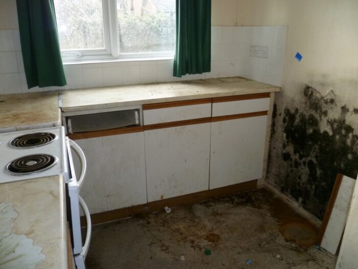 Flood damaged kitchen from a long standing leak on water pipe. Flood damage case study by U&M Group.